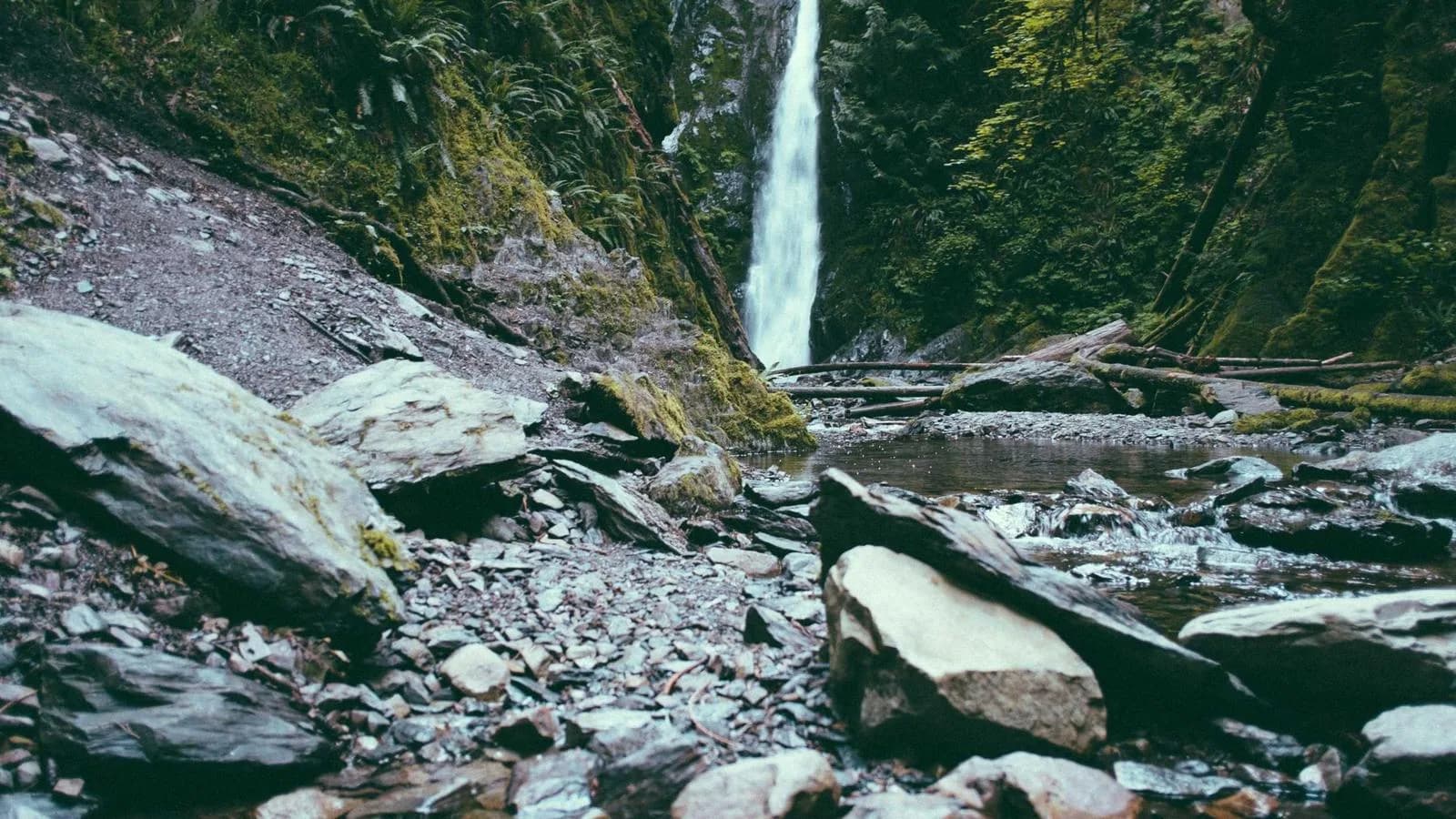 Agency Profit Margins: Where Web Design Fits in the P&L