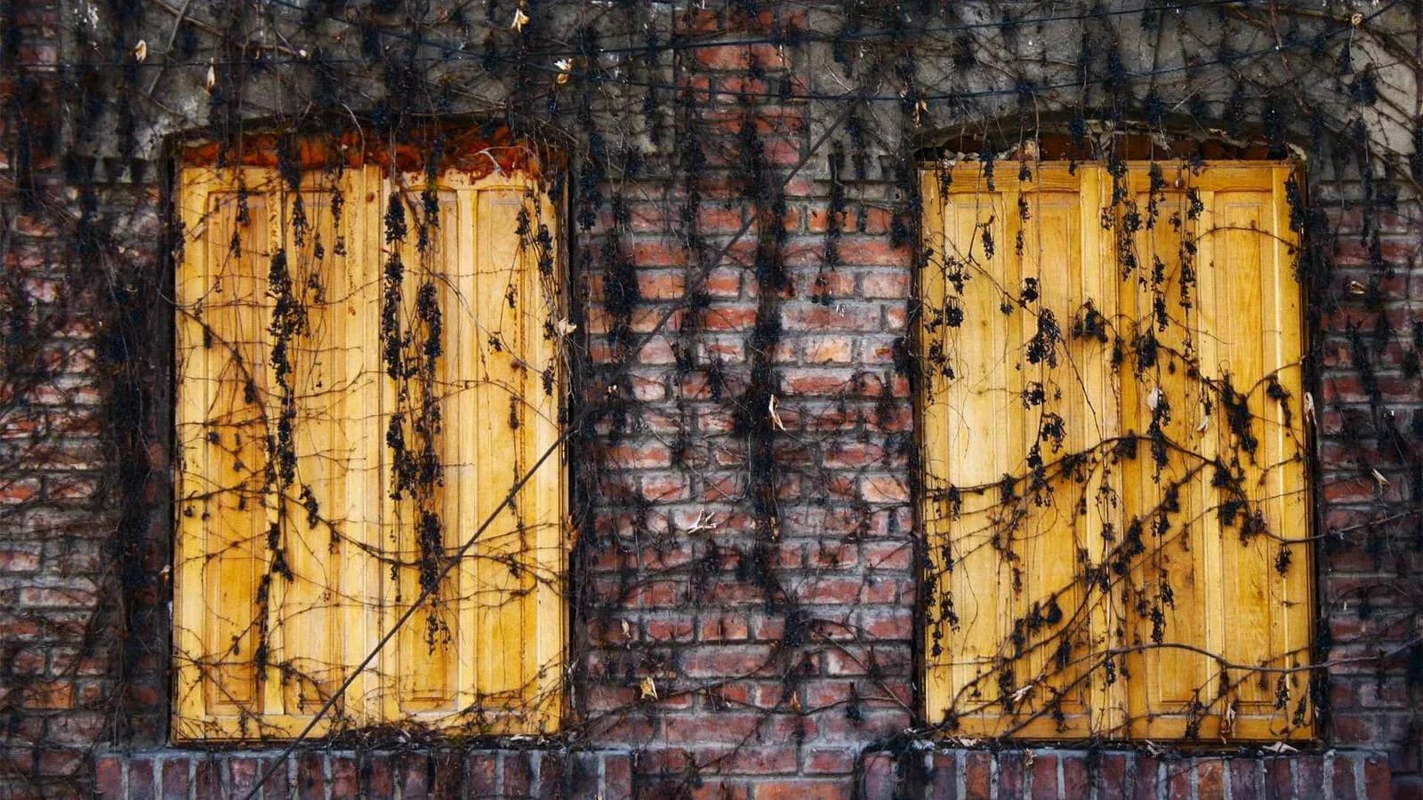 Retainer vs. Project-Based Web Design: Which Is Better for Your Agency?