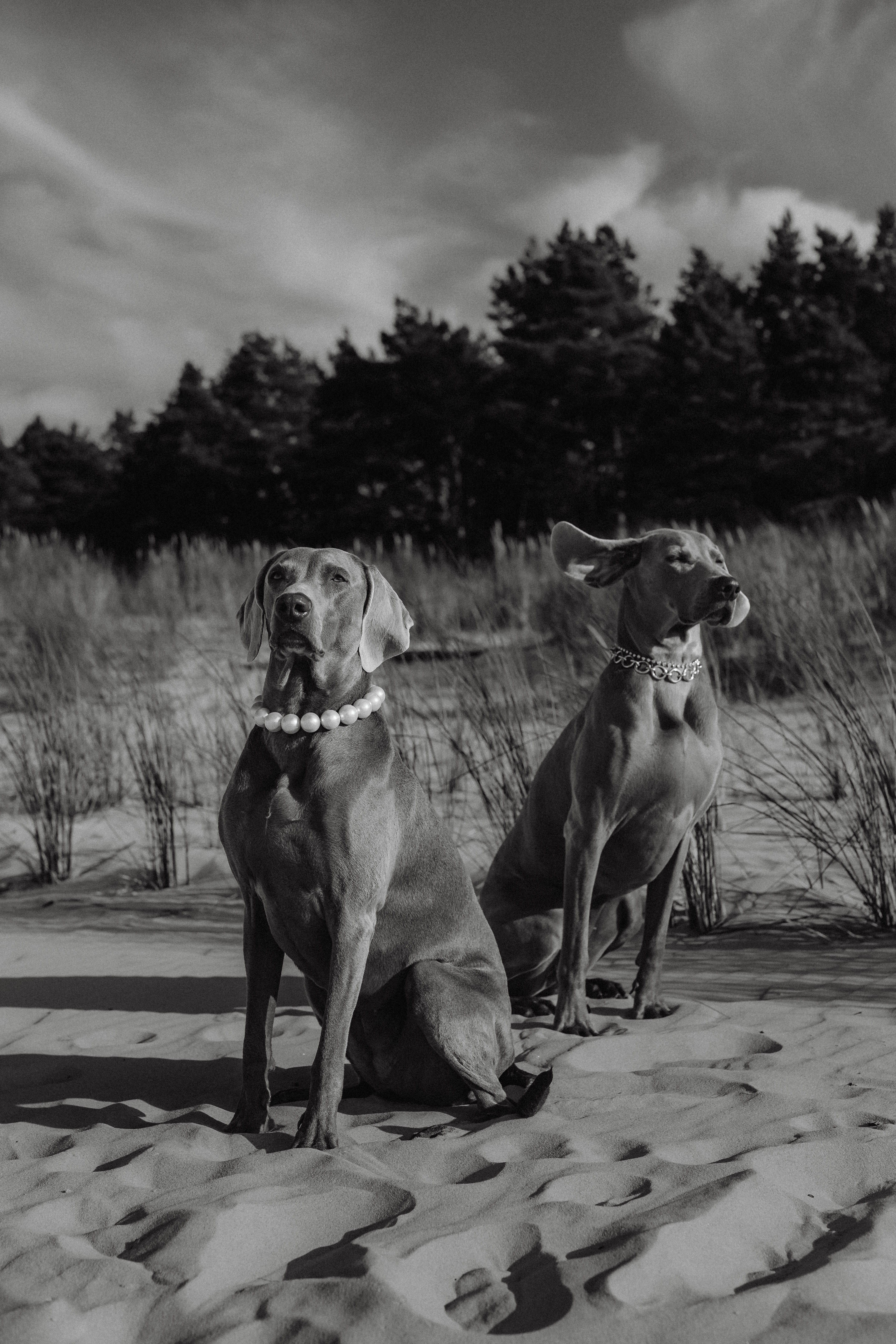 Professional aesthetician website design showcasing beauty services and online booking system